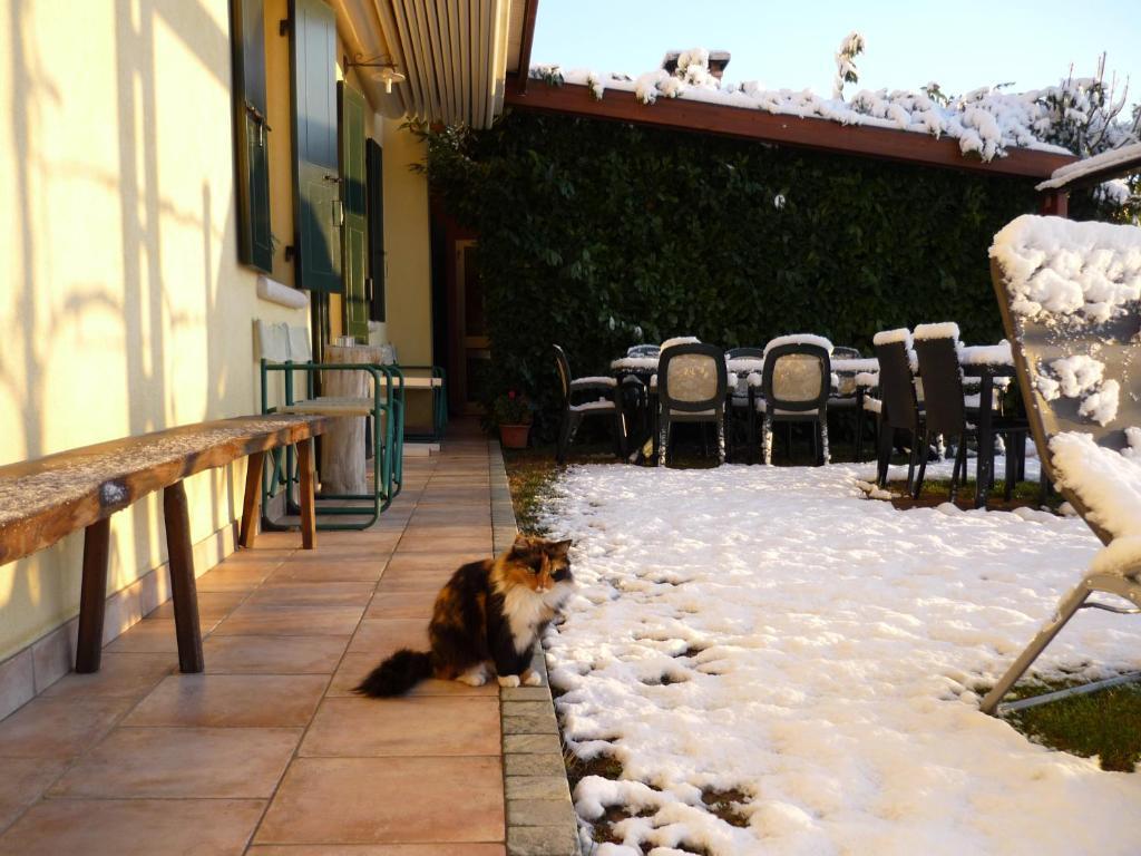 Sant'Andrea Agriturismo Con Cantina Martignago Vignaioli Asolo Prosecco Docg Wines Maser Eksteriør bilde
