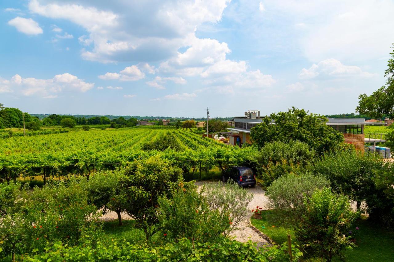 Sant'Andrea Agriturismo Con Cantina Martignago Vignaioli Asolo Prosecco Docg Wines Maser Eksteriør bilde